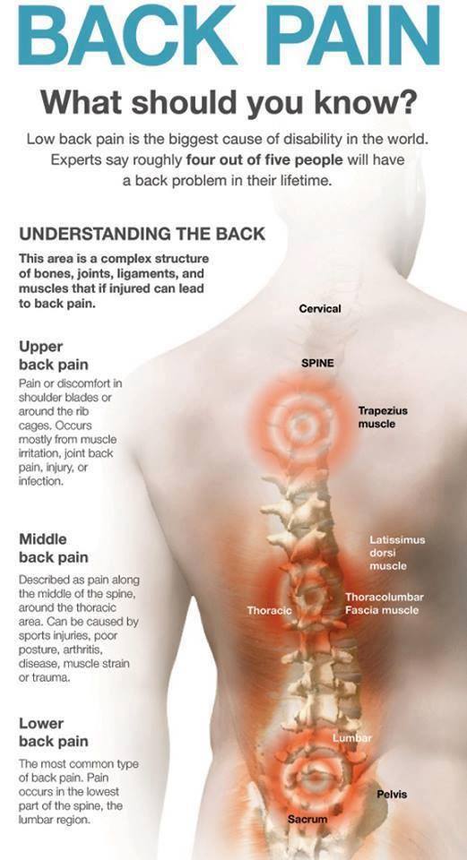 Back Pain